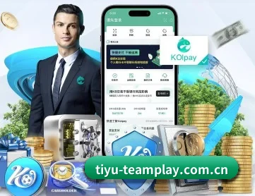 开云体育平台 APP