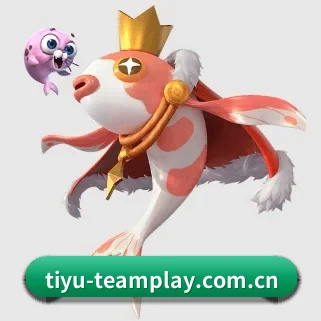 开云体育资讯 APP