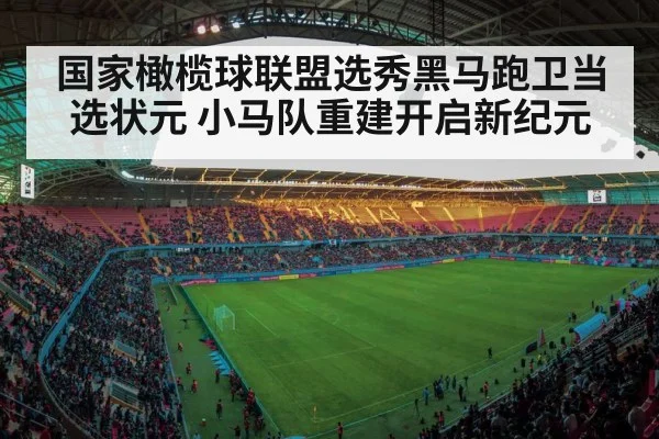 国家橄榄球联盟选秀黑马跑卫当选状元 小马队重建开启新纪元
